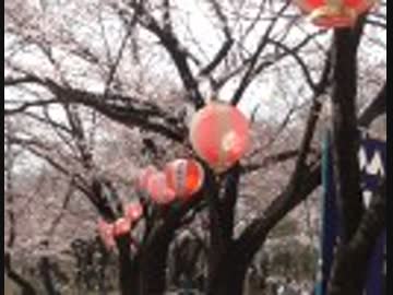 花見会場ビンゴ【ボツ】