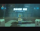 【ゼル伝BotW】100年の眠りから目覚めた勇者の冒険５７【もちまる】