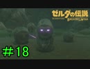 【実況】見落としが多い勇者の冒険part18【ブレスオブザワイルド】