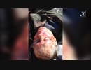 2 Russian soldiers are killed by ISIS in Syrian desert