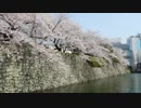 【ゆっくり】徒歩で日本一周part578【藤枝→静岡】