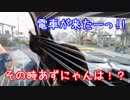 【旅猫あずき】怖いもの見たさ|д･)【traveling cat by car】