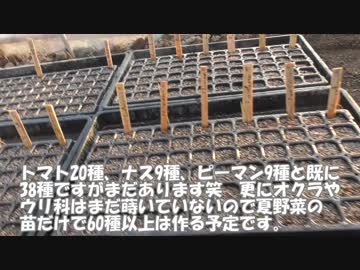 2019年3月1日【種まき･育苗】竹で名札作りと続･セルトレーへの種蒔き