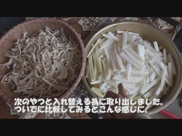2019年3月7日：切り干し大根作ってみた〔前編〕【野菜の加工】
