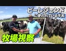 ビーレジェンドに使われている牛乳を生産されている牧場視察！【ビーレジェンド鍵谷TV】