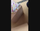 定規でけいおん！の「Cagayake!GIRLS」を弾きました