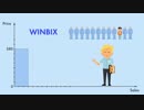How does the WINBIX system work?
