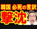 韓国政府で新たな国連制裁違反が発覚！見捨てたとバレた文在寅が必死の言い訳で恥を上塗り！韓国どうすんのこれ…海外の反応 最新 速報『KAZUMA Channel』