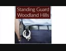 Assertive Security Services Consulting Group : Standing Guard in Woodland Hills