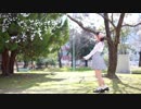 【コネットさん】 春に一番近い街 【踊ってみた】