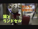 猫も学校に行きたいってよ。