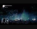 【第３９夜】眠れぬ夜のHOLLOW KNIGHT【実況】