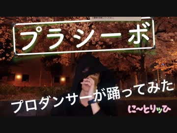 プラシーボ　桜の下で踊ってみた【に～とりッひ　檜】
