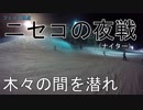 【仲間とスノボ・スキー#03】北海道初滑りはニセコの夜戦（GOPRO・JVC視点）【北海道ニセコアンヌプリ国際スキー】【蒼い世界の歩き方】