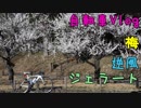 【Vlog】梅のシーズンなのでこども自然公園にライドしてきた【VS逆風】
