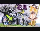 【第一回自転車動画祭】春だし痛チャリで桜見にいくかぁ【ロードバイク車載】