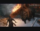 【初見実況】息抜きSEKIRO:SHADOWS DIE TWICE　part11