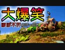 【2人実況】Steamでほぼ不評の神ゲームで大爆笑