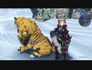 【ゼノブレイド２】ファッションショー！前編【ゲーム実況】【風神雷神】