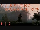 【実況】隻狼やろうでござ候　＃12　【SEKIRO】