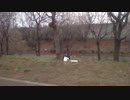 【車載動画】秘封倶楽部はまだ見ぬ景色へ　その二
