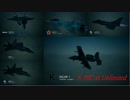 Ace Combat 7 Multiplayer31  バトルロイヤル  A-10C + RKTL