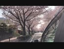 【夢ねこ世界を喰らう＃82】山形旅行でおなかいっぱい
