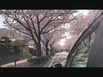 【夢ねこ世界を喰らう＃82】山形旅行でおなかいっぱい