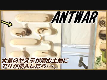 大量のヤスデが住む土地侵略でアリが思わぬ大苦戦！？