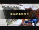【三国志大戦5】駄君主がケニアで遊ぶそうです731