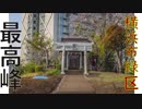 【RTAリアル登山アタック】横浜市緑区最高峰　高尾山