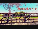 【第一回自転車動画祭】境川お花見サイクリング【ロードバイク車載】