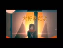 アディショナルメモリー short PV