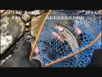 4.09 ヤマメを釣りにいこうz