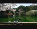 【自転車】お花見ポタリング編【動画祭】