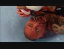 WWE.野獣VSハンター