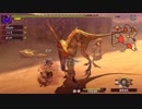 【初見MH】歴代モンスター達と戦い病気とも闘うRPG【XX】part5