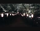 さくらと街-夏木律