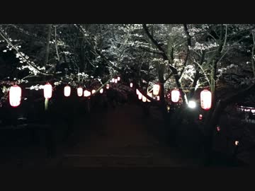 さくらと街-夏木律