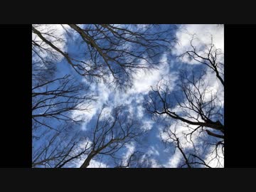 【トラック提供】NICONICO_39