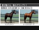 【ウイニングポスト８】トウカイテイオーの仔でＧⅠ勝利を目指す part118