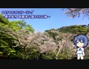 ひとりでとことこツーリング86　～鹿児島市　慈眼寺公園さくら広場～