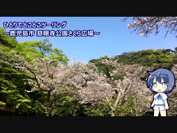 ひとりでとことこツーリング86　～鹿児島市　慈眼寺公園さくら広場～