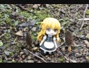 【春キノコ】2019年春のキノコ狩り