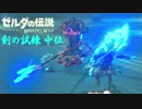【実況】新たな冒険へ！ゼルダの伝説 ブレスオブザワイルド 剣の試練リベンジ【中位後編】