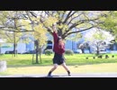 【ぱんだ】　かいしんのいちげき！　踊ってみた　【暴風】
