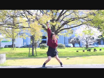 【ぱんだ】　かいしんのいちげき！　踊ってみた　【暴風】