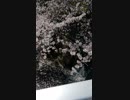旅先にて・・・