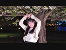 【ひじり】僕らの街に愛が降る夜だ 踊ってみた【葉桜の下で】