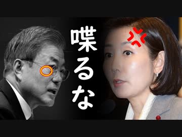 「文在寅はトランプ大統領と喋るな！」韓国野党議員が無慈悲な文在寅批判を展開し一同失笑！【カッパえんちょーLi】